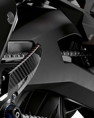 We see an item from the accessory range, focus on the Carbon engine guard.